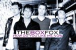 Pressefoto der Band:The Box Fox