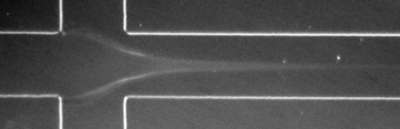 MPI für Dynamik und Selbstorganisation 2005© An einem Kreuzungspunkt (Breite der Kanäle: 100 Mikrometer) strömt eine saure Collagenlösung (von links) mit alkalischer Lösung (von oben und unten) zusammen. Der Ausflusskanal ist rechts.