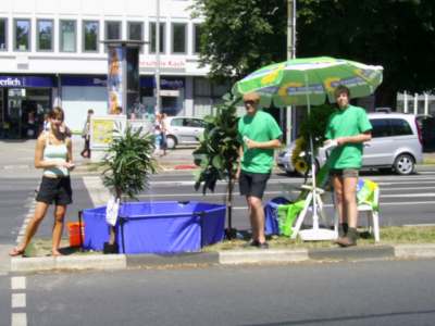 Grüne 2006 ©  politisches Planschen auf dem betonierten Grünstreifen.