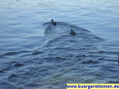 Pressefoto: Porth , 2008 © Früher fanden die Menschen beim Füttern der Enten Ruhe und Entspannung. Dann wurde es aus Umweltschutzgründen verboten. Es heißt, dass sonst der Kiessee im Sommer umzukippen droht. Wo finden die Menschen in Göttingen heute noch Ruhe und Entspannung? Die Bebauung nimmt zu und die Zahl der Spiel- und Boltzplätze sinkt.