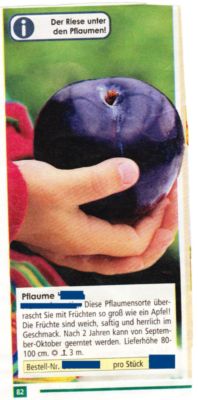 Pressefoto: , 2010 © Foto'lüge' - Pflaumen groß wie Äpfel - suggeriert die Pflaume in der Kinderhand