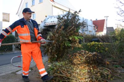 Foto vom Pressemelder: Foto vom Pressemelder , 2012 © Strauchschnittabfuhr in Göttingen -